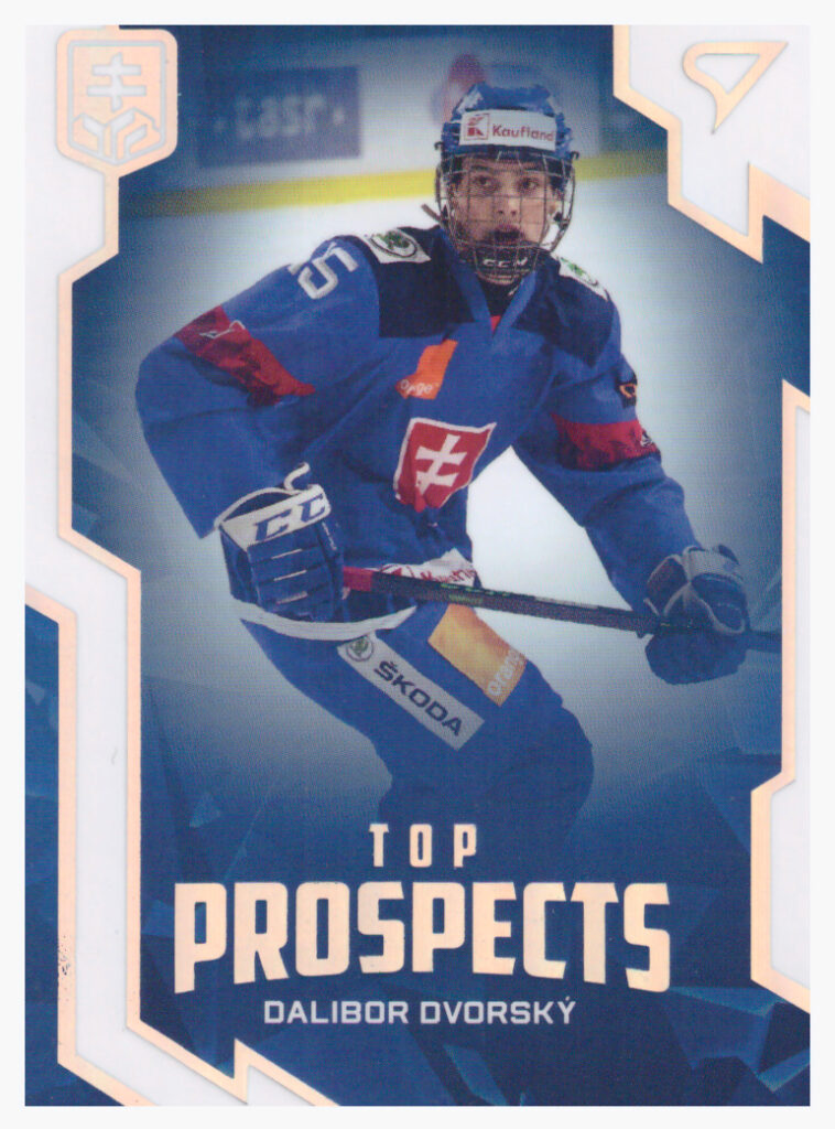 Hokejové Slovensko 2022 – Dalibor Dvorský TP-4