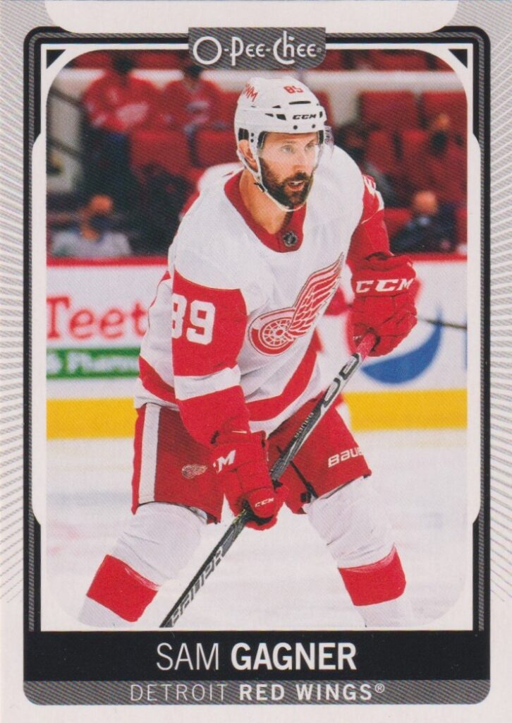 2021/22 O-Pee-Chee – S. Gagner Det 325