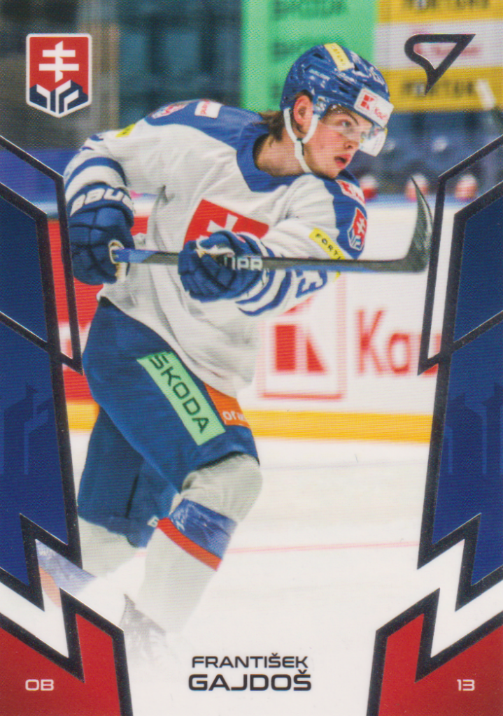 Hokejové Slovensko 2024 – František Gajdoš 11