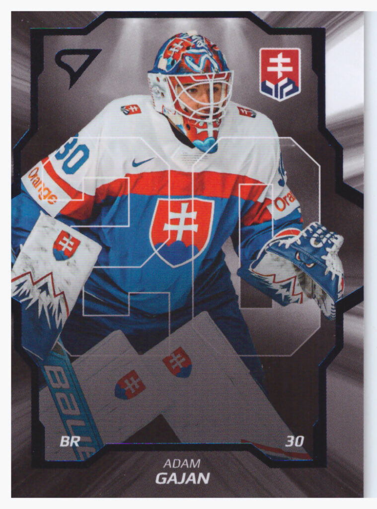 Hokejové Slovensko 2024 – Adam Gajan SD-01
