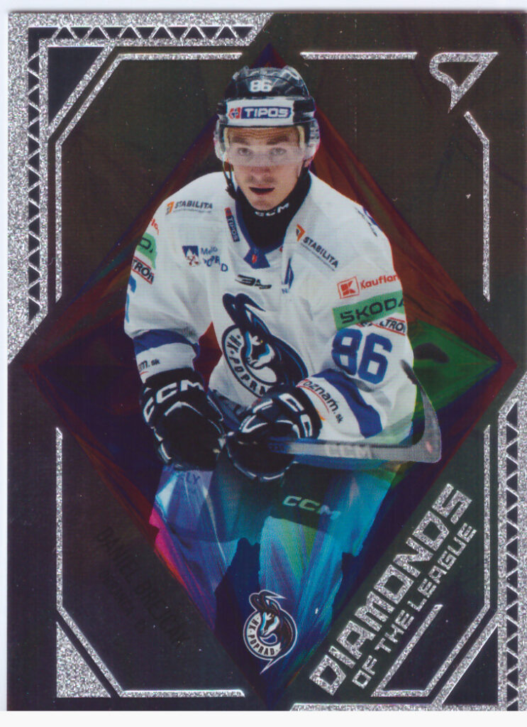 2024/25 Tipos Extraliga – D.Brejčák Poprad DL-11