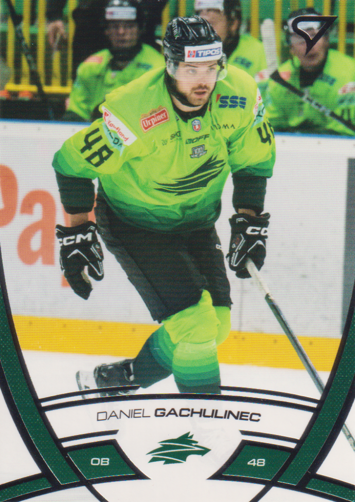 2024/25 Tipos Extraliga – D. Gachulinec Žilina 202