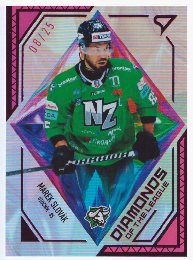 2024/25 Tipos Extraliga – M.Slovák Nové Zámky DL-25   /25