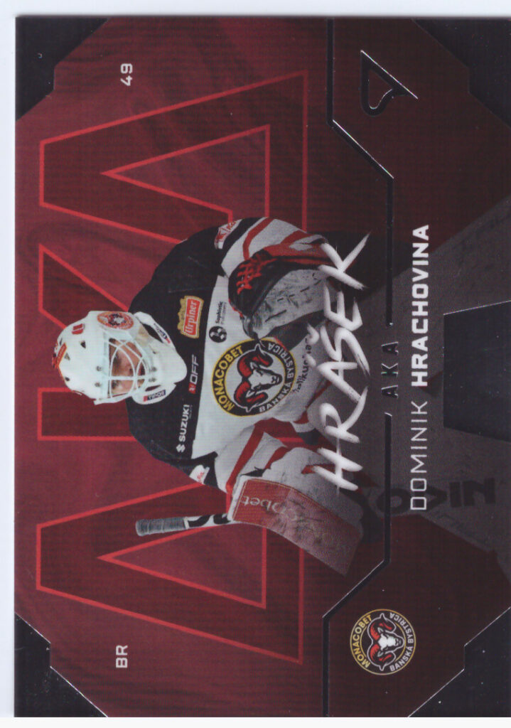 2024/25 Tipos Extraliga – D.Hrachovina Banská Bystrica AK-16