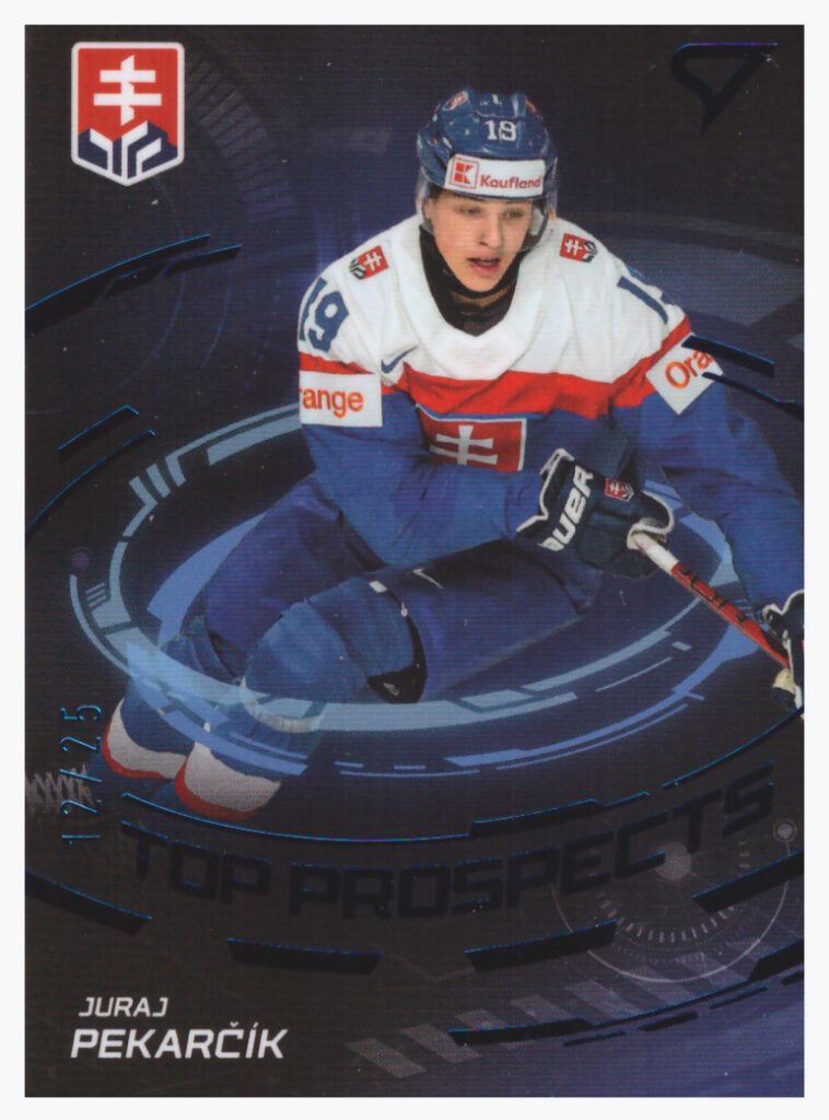 Hokejové Slovensko 2024 – Juraj Pekarčík TP-8   /25