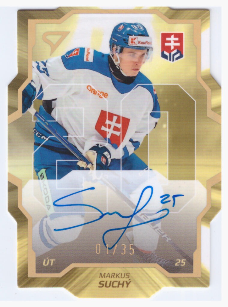 Hokejové Slovensko 2024 – Maxim Štrbák SDS-MS   /35