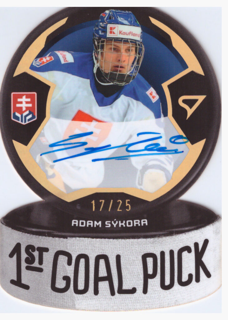 Hokejové Slovensko 2024 – Adam Sýkora GPS-AS   /25