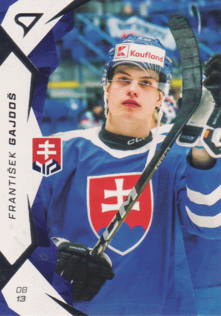 Hokejové Slovensko 2025 – F. Gajdoš 11