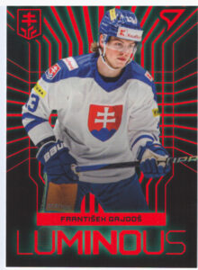 Hokejové Slovensko 2024 – František Gajdoš LS-05