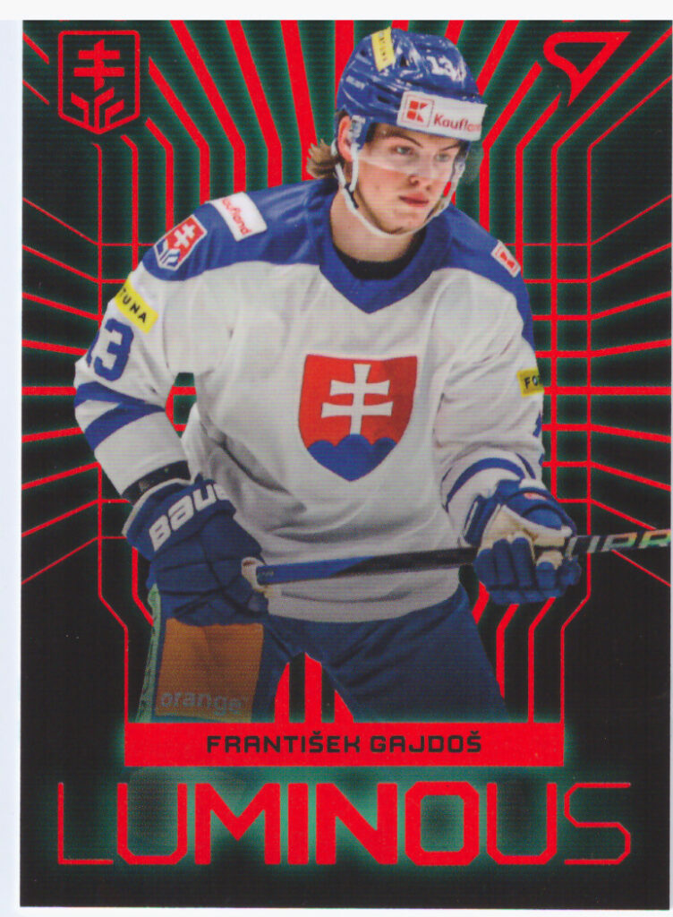 Hokejové Slovensko 2024 – František Gajdoš LS-05