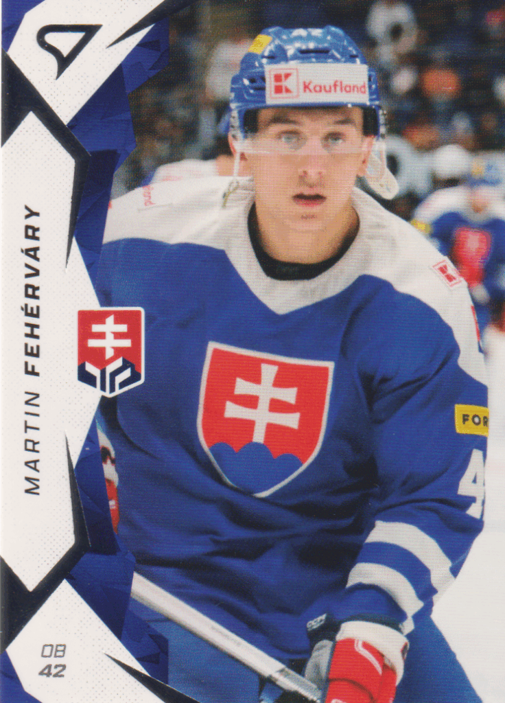 Hokejové Slovensko 2025 – M. Fehérváry 10