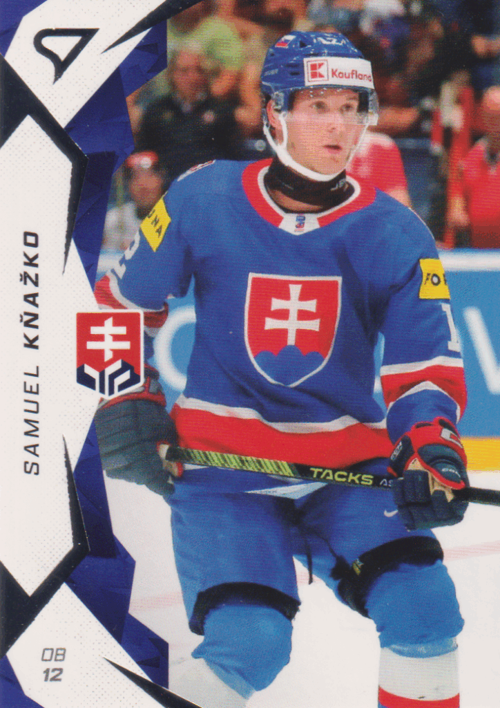 Hokejové Slovensko 2025 – S. Kňažko 16