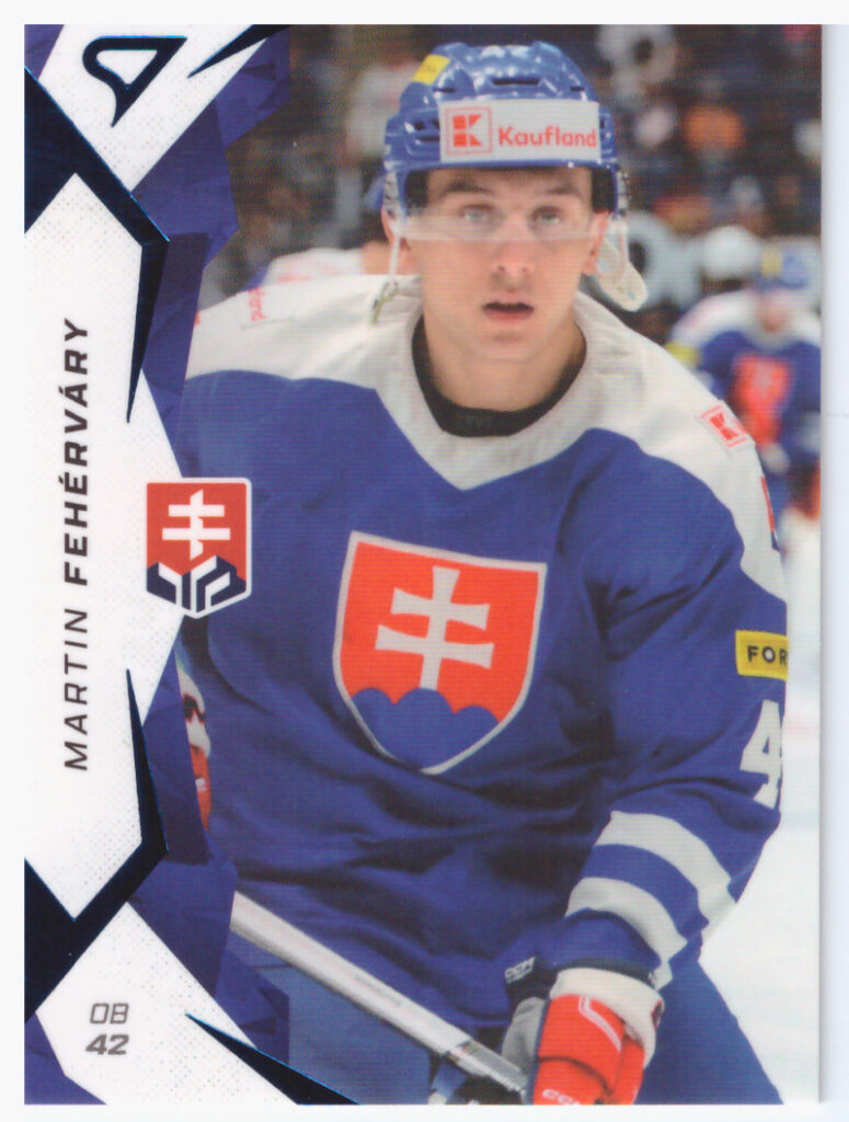 Hokejové Slovensko 2025 – Martin Feherváry 10