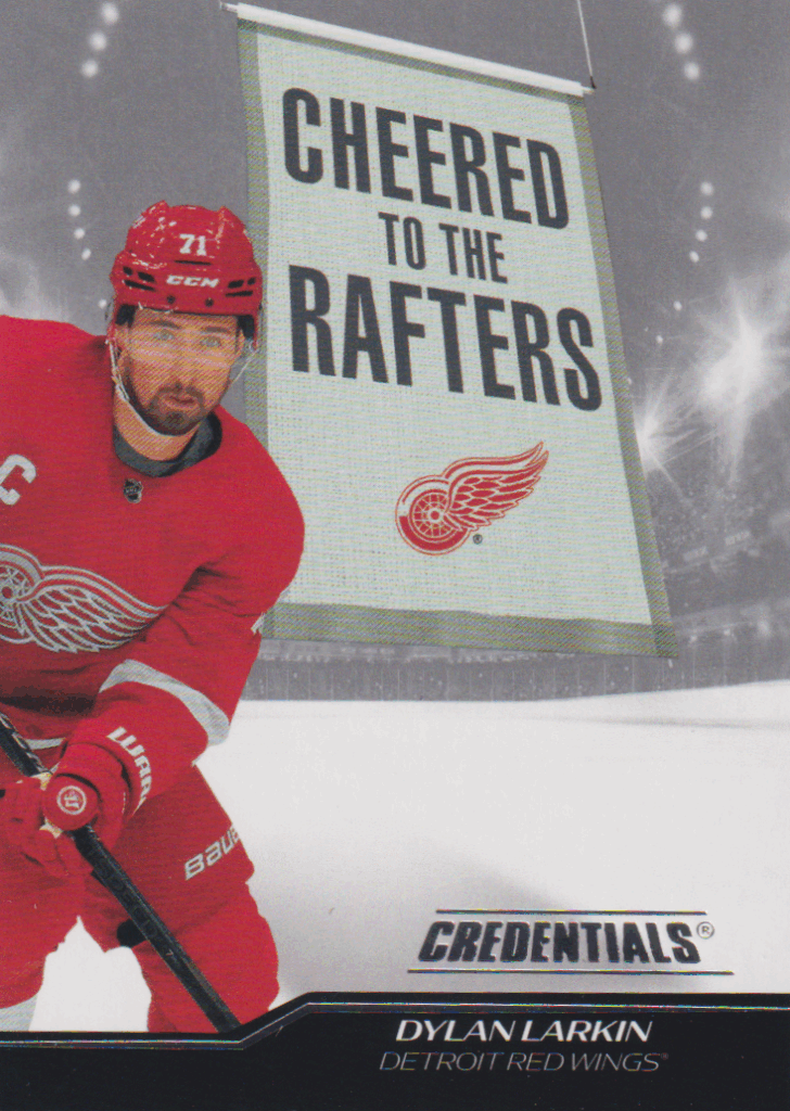 2024/25 Credentials – D. Larkin Det