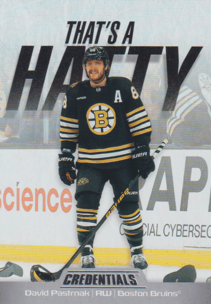 2024/25 Credentials – D. Pastrnak Bos