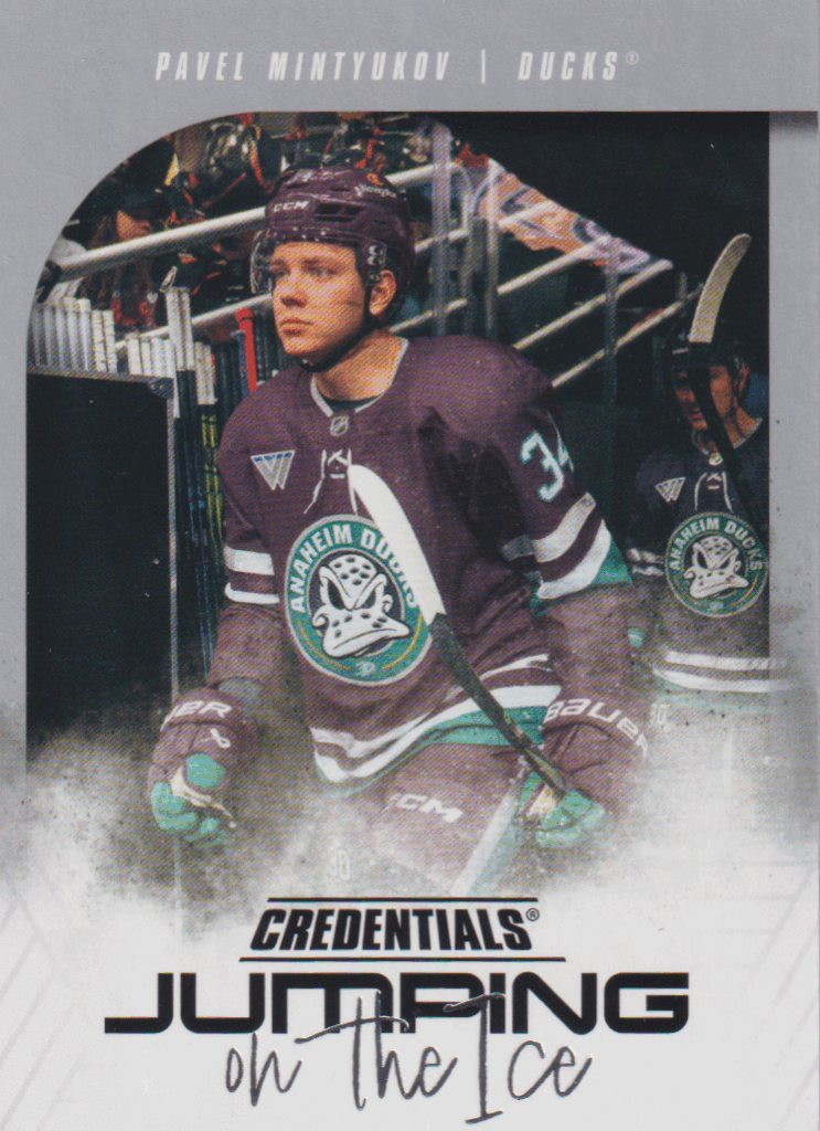 2024/25 Credentials – P. Mintyukov Ana