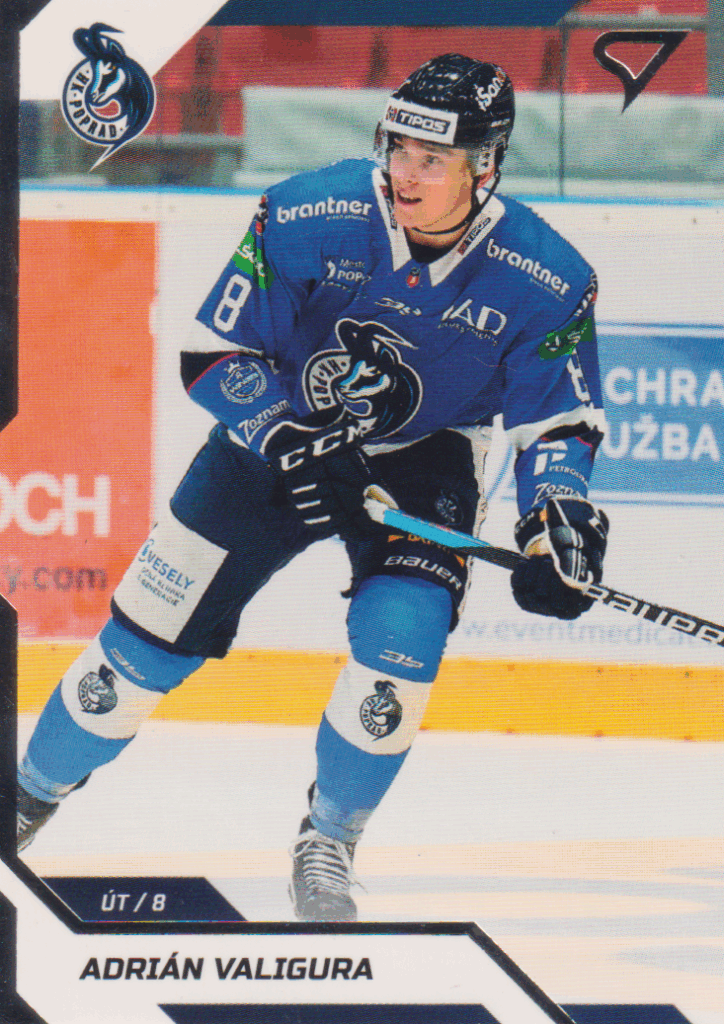 2022/23 Tipos Extraliga – A. Valigura HK Poprad 106