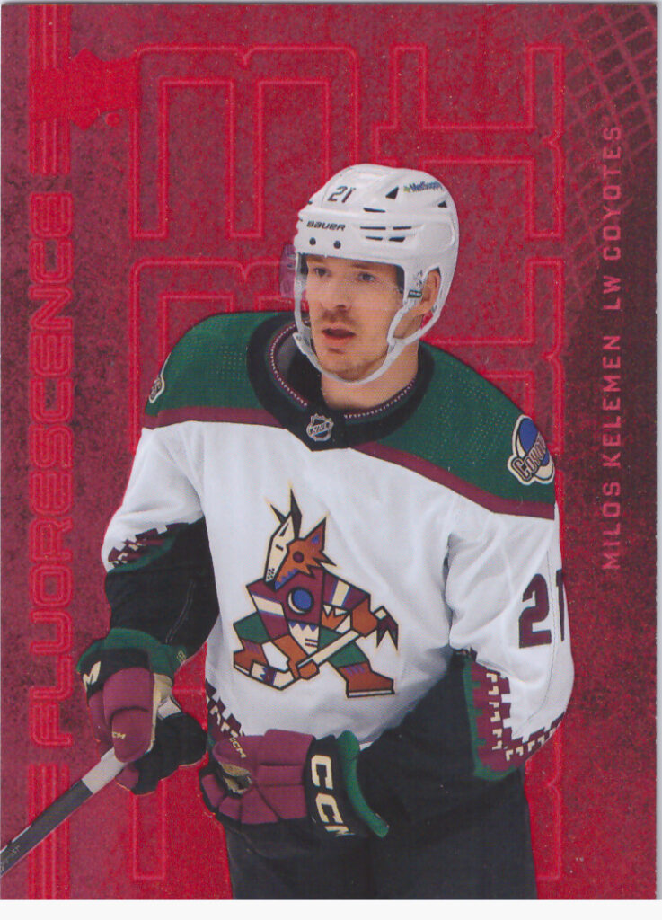 2023/24 Upper Deck Series 2 – M.Kelemen Ari F-14