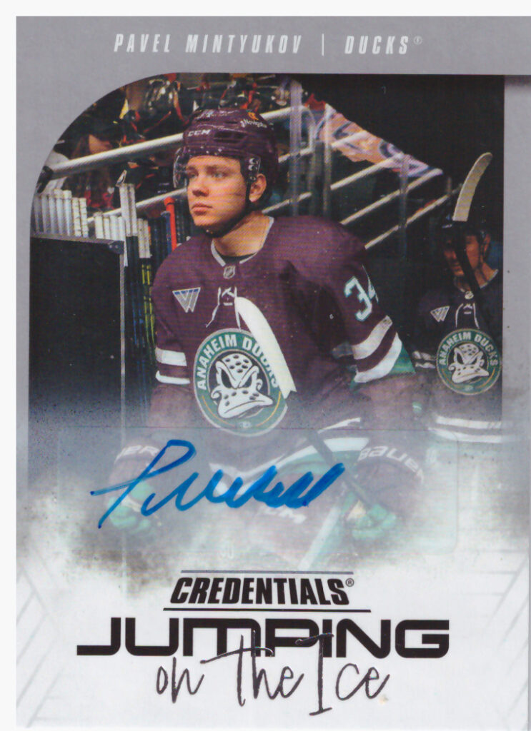 2024/25 Credentials – P.Mintyukov Ana JI-PM