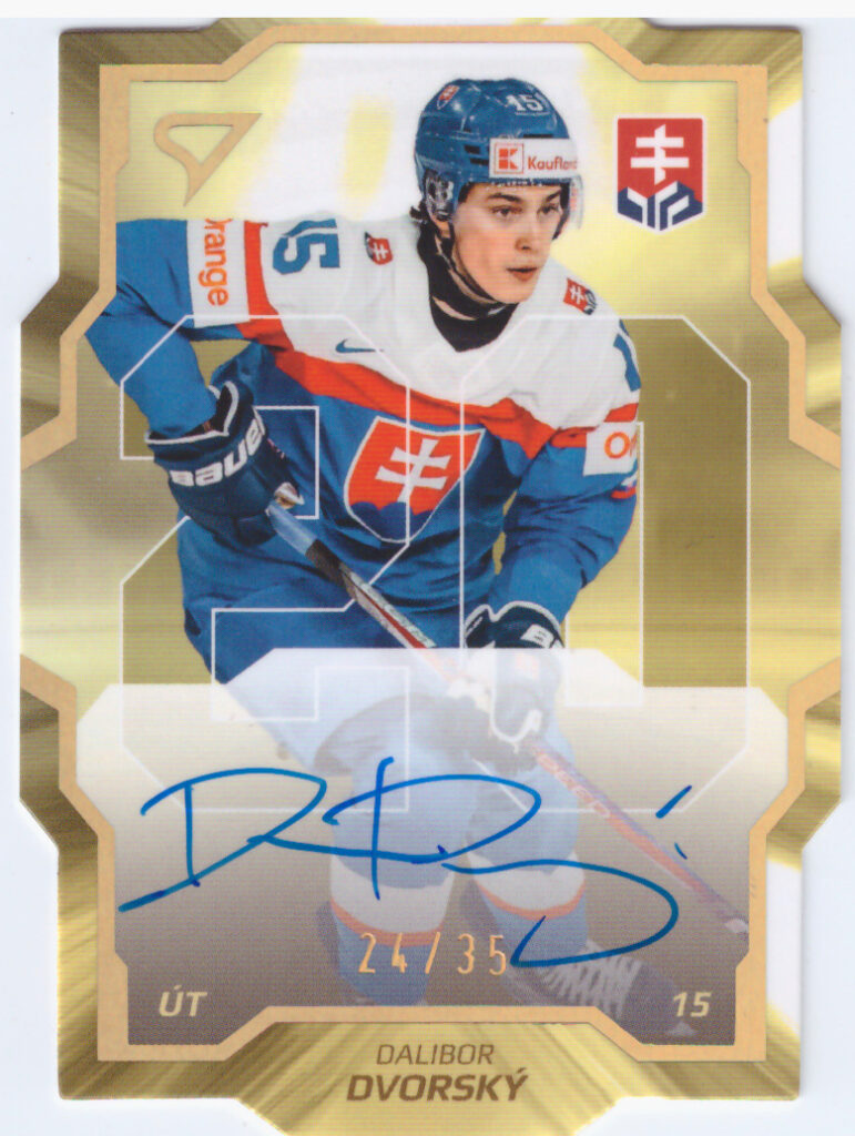 Hokejové Slovensko 2024 – Dalibor Dvorský SDS-DD   /35