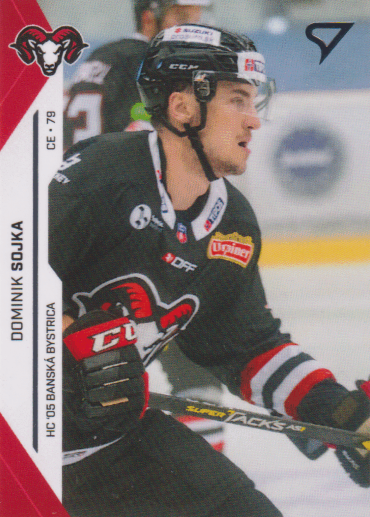 2021/22 Tipos Extraliga – Dominik Sojka HC ’05 Banská Bystrica 304