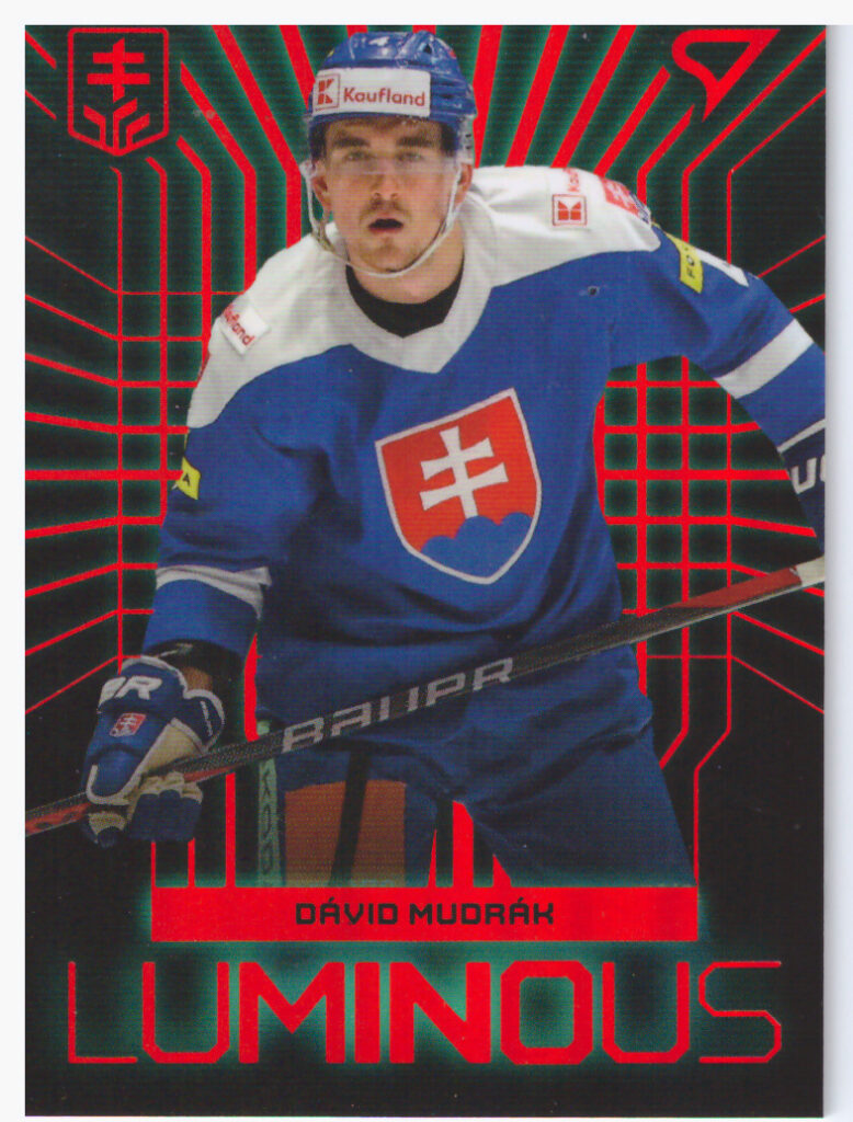 Hokejové Slovensko 2024 – Dávid Mudrák LS-09