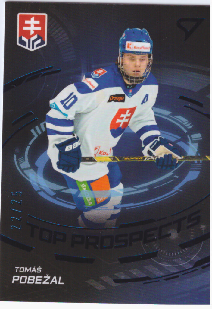 Hokejové Slovensko 2024 – Tomáš Pobežal TP-9   /25