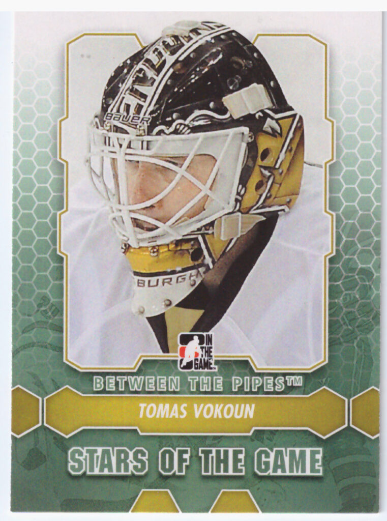 2012/13 Between the Pipes – Tomáš Vokoun 96