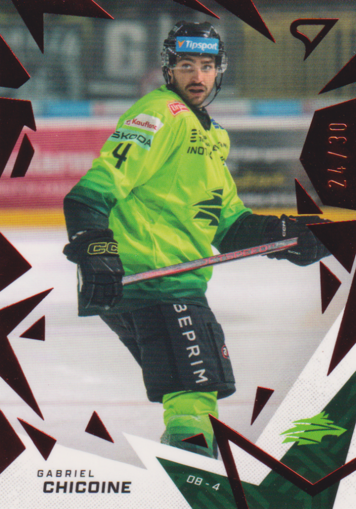 2025/26 Tipsport Liga – Gabriel Chicoine Vlci Žilina 234 /30