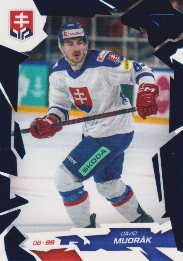 2026 Hokejové Slovensko – Dávid Mudrák 14